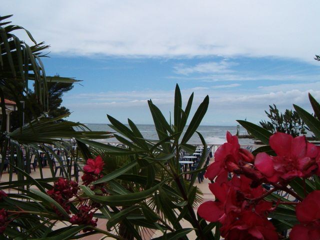 Porec (HR) tenger - leander mgl...