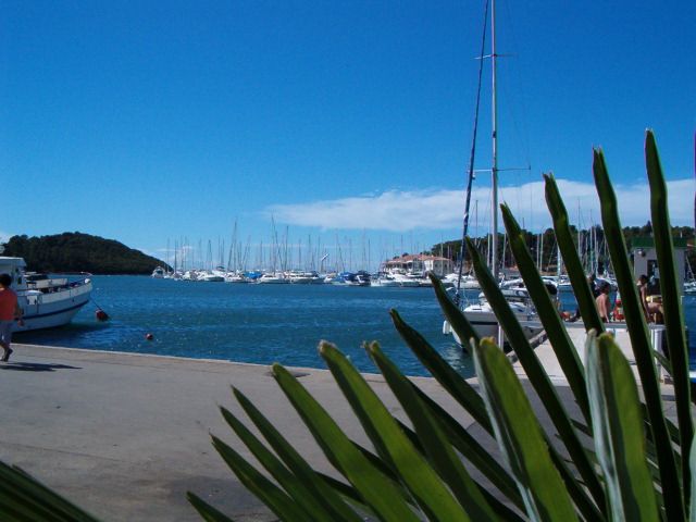 Vrsar (HR) - csodakk